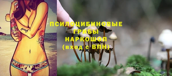 spice Коряжма