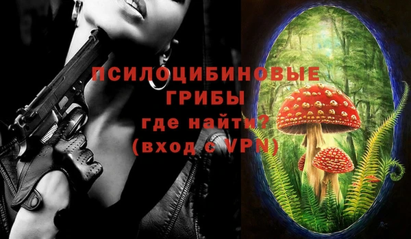 Альфа ПВП Кукмор