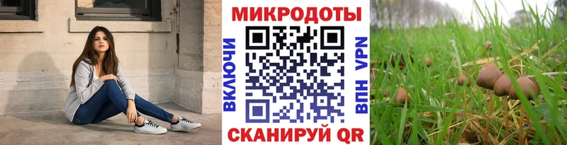 где найти наркотики  Называевск  Псилоцибиновые грибы Psilocybine cubensis 