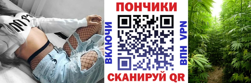 Каннабис ГИДРОПОН MEGA ТОР площадка телеграм Называевск